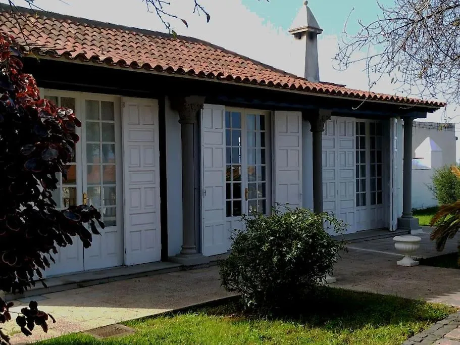 Villa En El Campo Con Piscina Privada Y Sunsets! La Matanza De Acentejo 西班牙